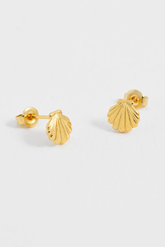 Seashell Stud Earrings