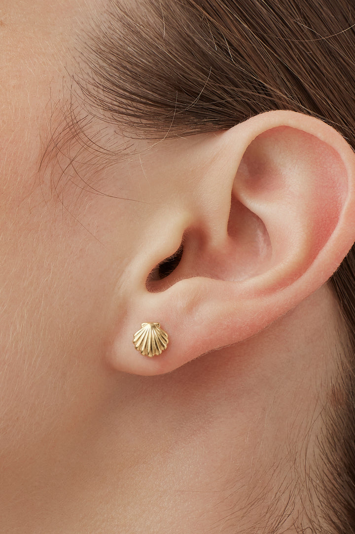 Seashell Stud Earrings