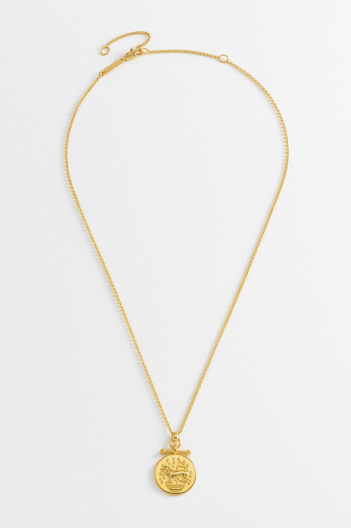 Lion Coin T-Bar Necklace
