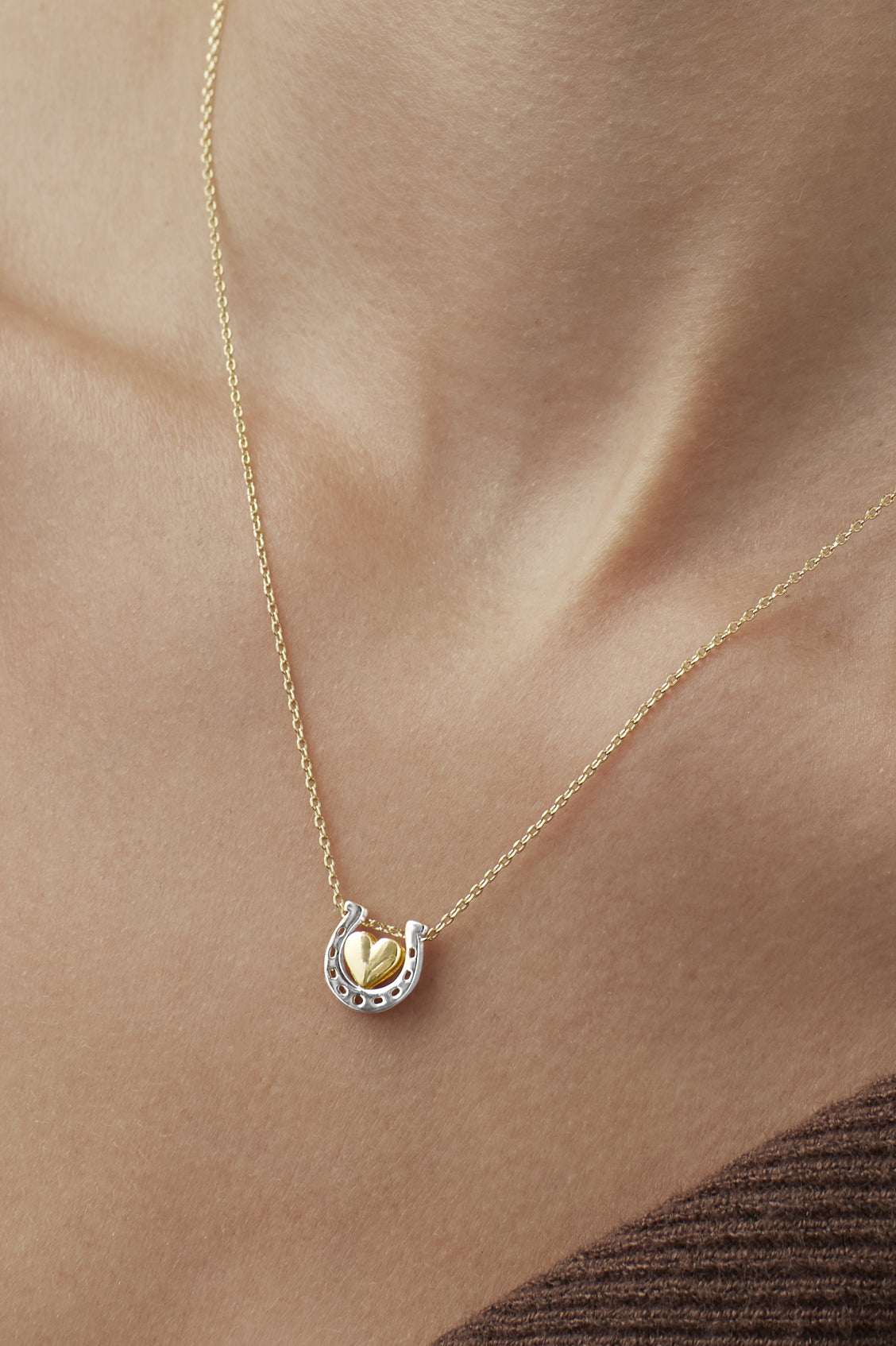Heart and Horseshoe Necklace