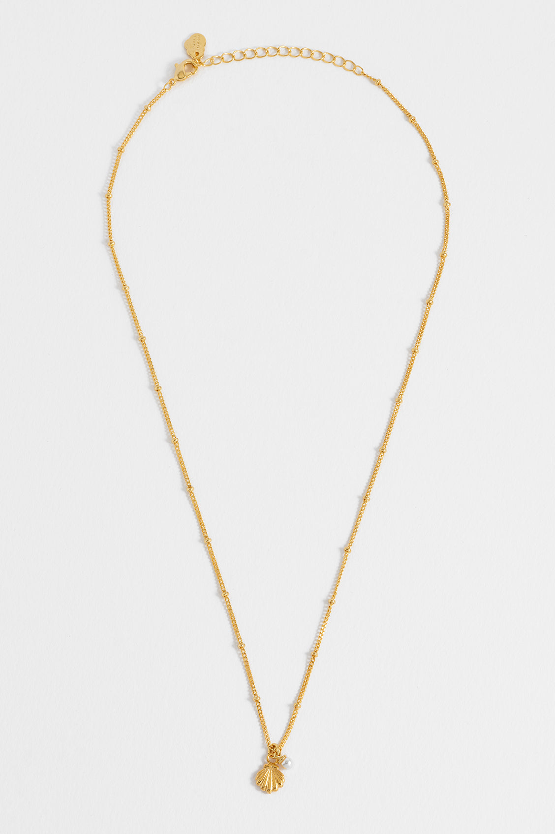 Seashell and Pearl Necklace