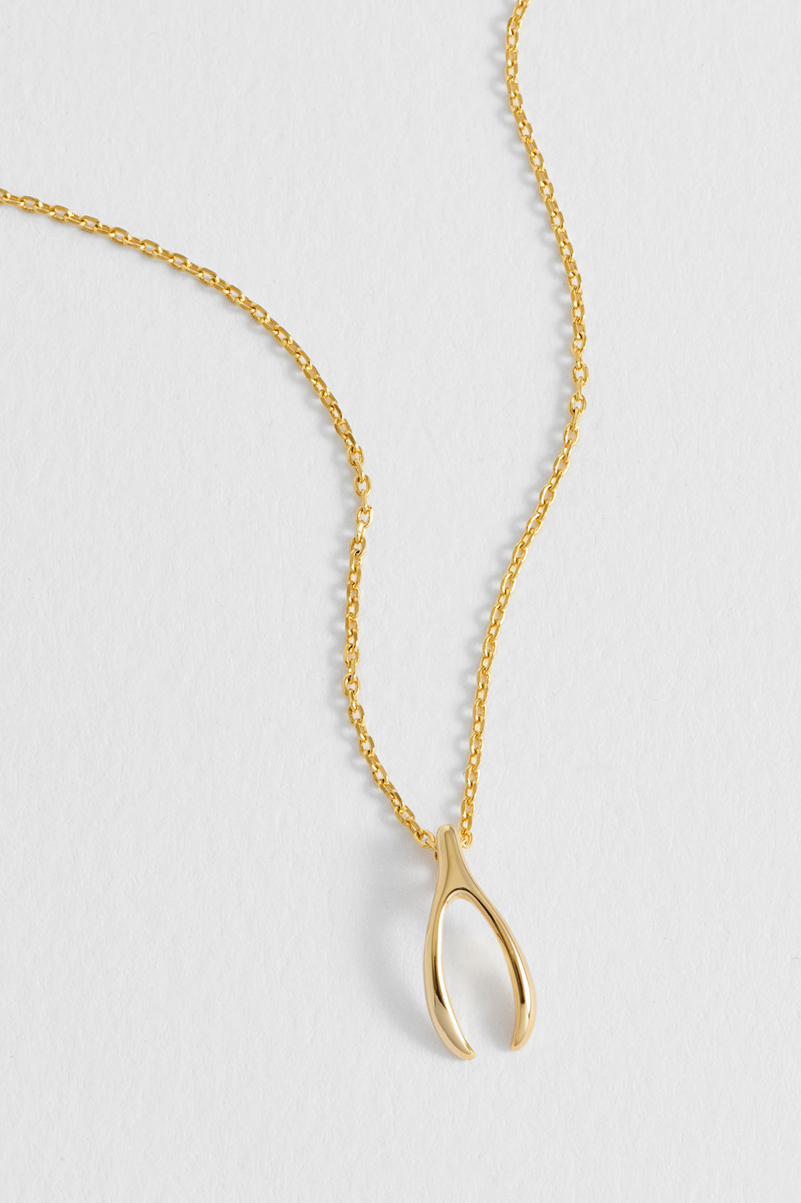 Wishbone Necklace
