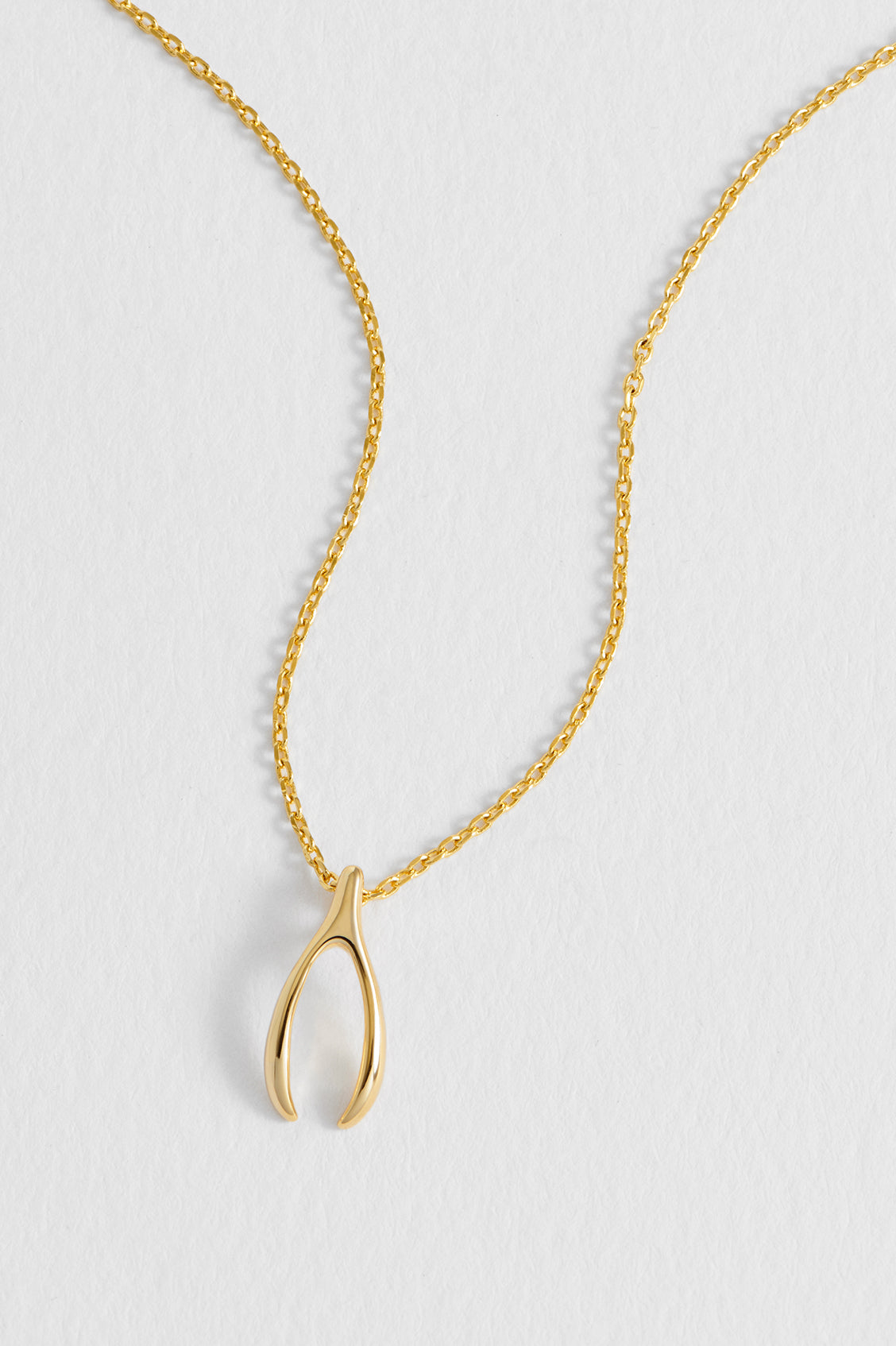 Wishbone Necklace