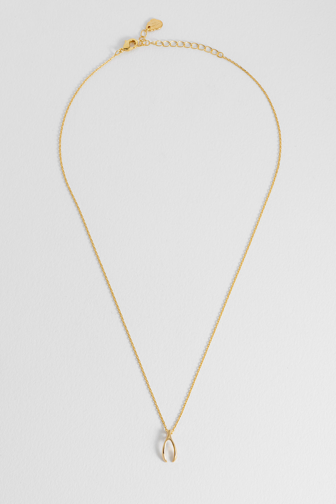 Wishbone Necklace