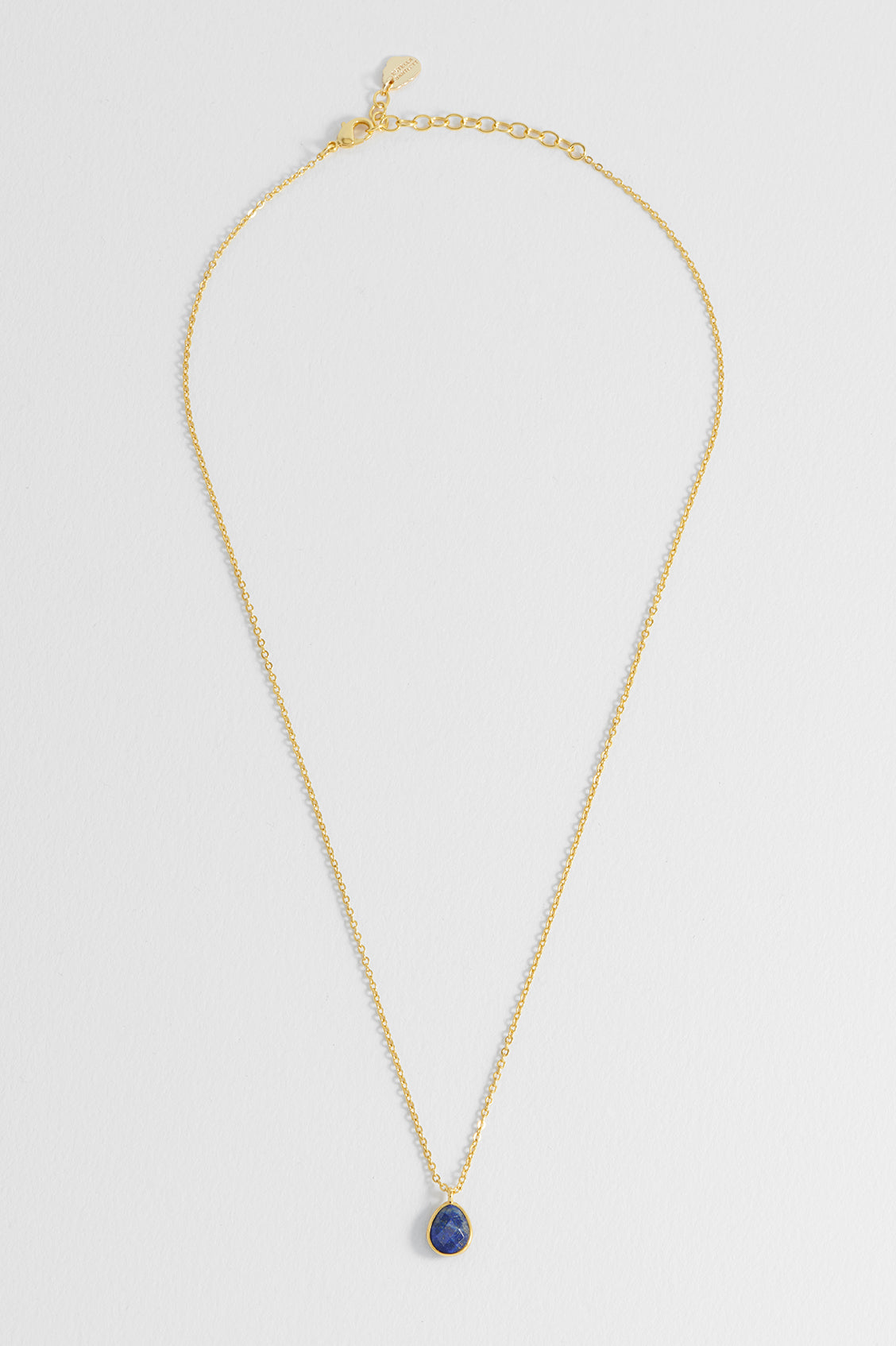 Wellness Sodalite Faceted Teardrop Gemstone Necklace