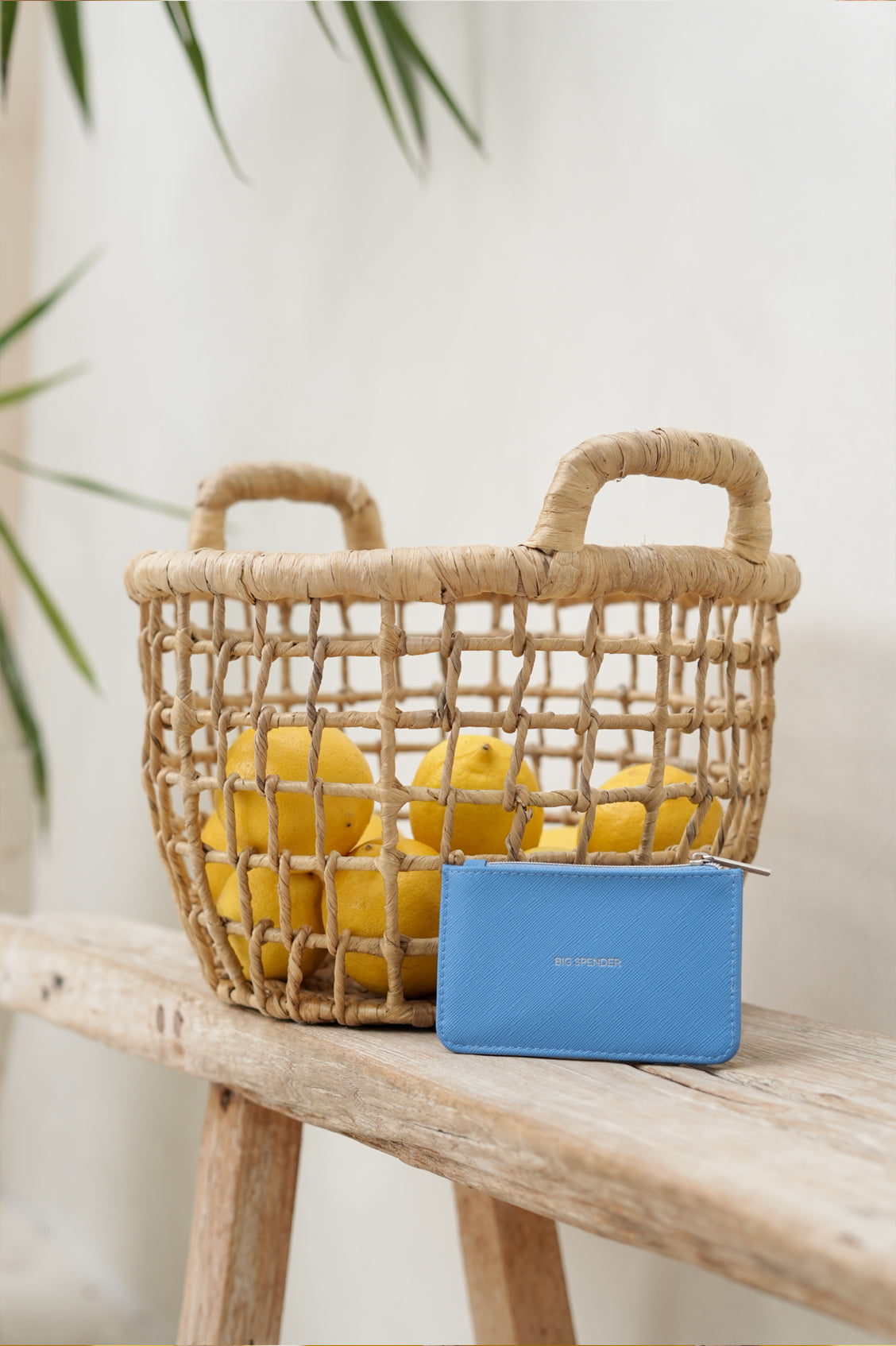 Sky Blue Card Purse